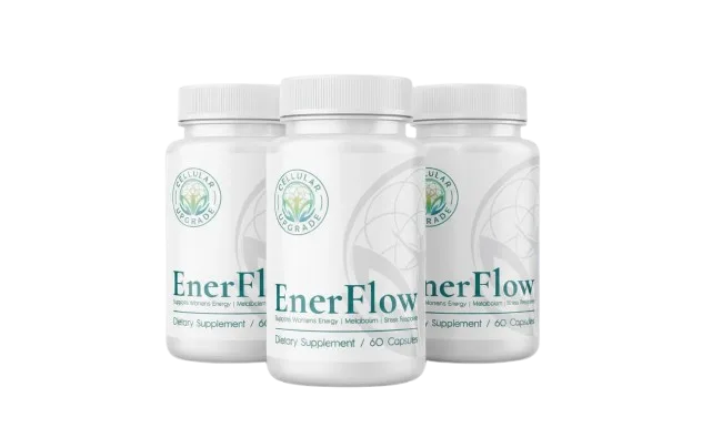 EnerFlow